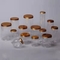 Rundes Plastikglas des freien Raumes des Honig-750ml mit Goldschrauben-Deckel